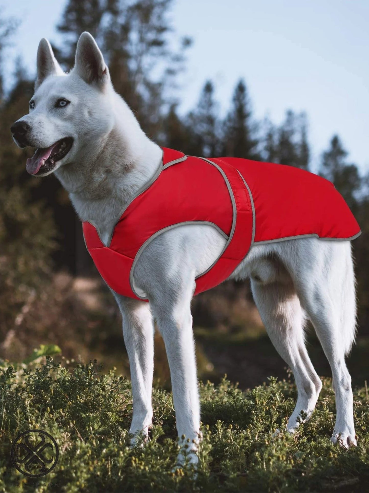 Reflective Waterproof Windproof Dog Coat Cold Weather Warm Dog Jacket Reversible Stormguard Winter Dog Vest for Small Medium Large Dogs