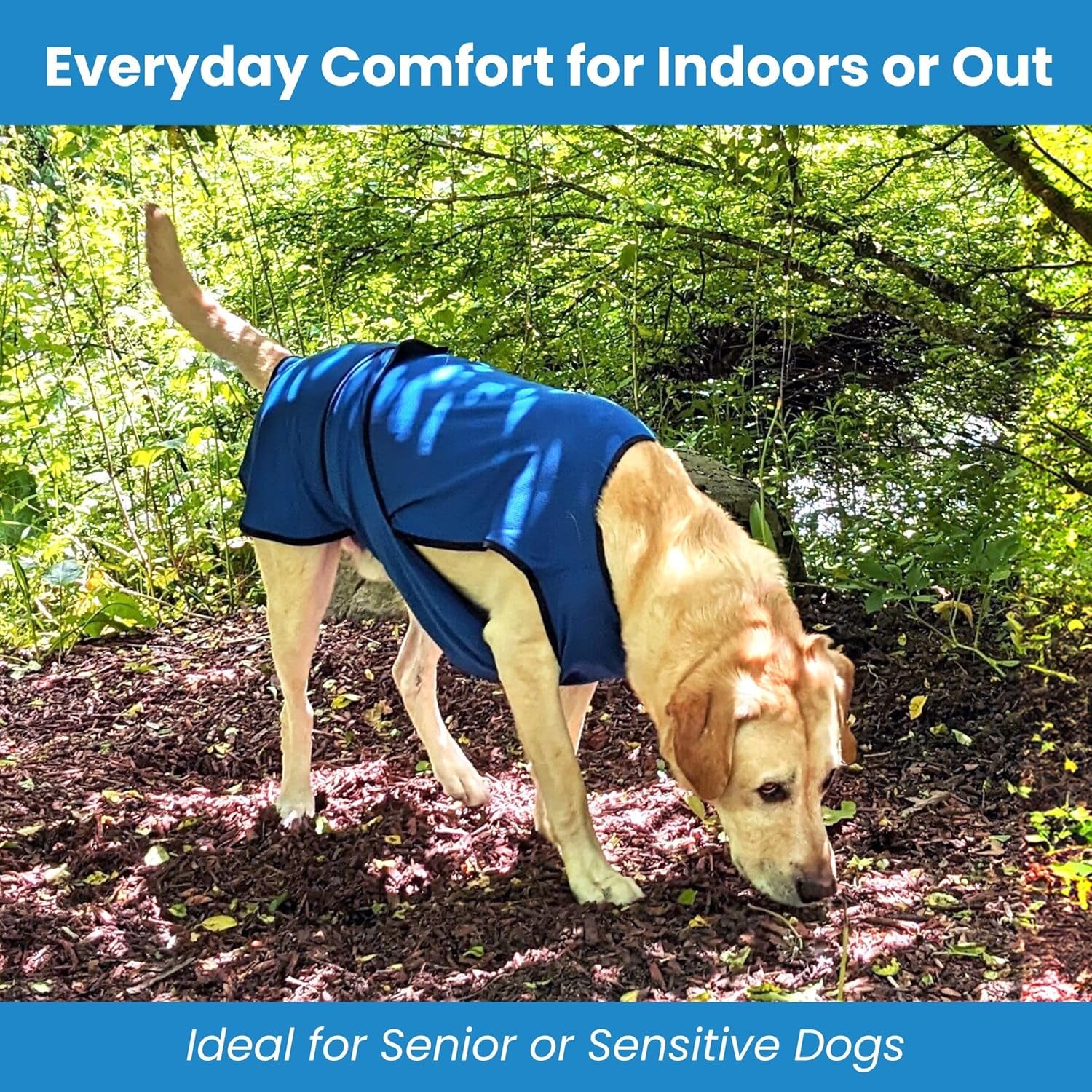 Dog Cooling Vest – Lightweight Evaporative Shirt with UV Protection for Small, Medium, and Large Dogs – Breathable Soft Fabric for Hot Weather (XS, Rose Pink)