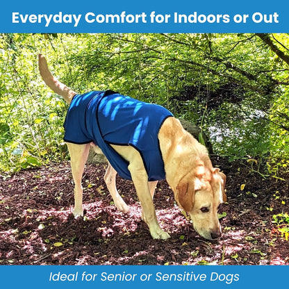 Dog Cooling Vest – Lightweight Evaporative Shirt with UV Protection for Small, Medium, and Large Dogs – Breathable Soft Fabric for Hot Weather (XS, Rose Pink)