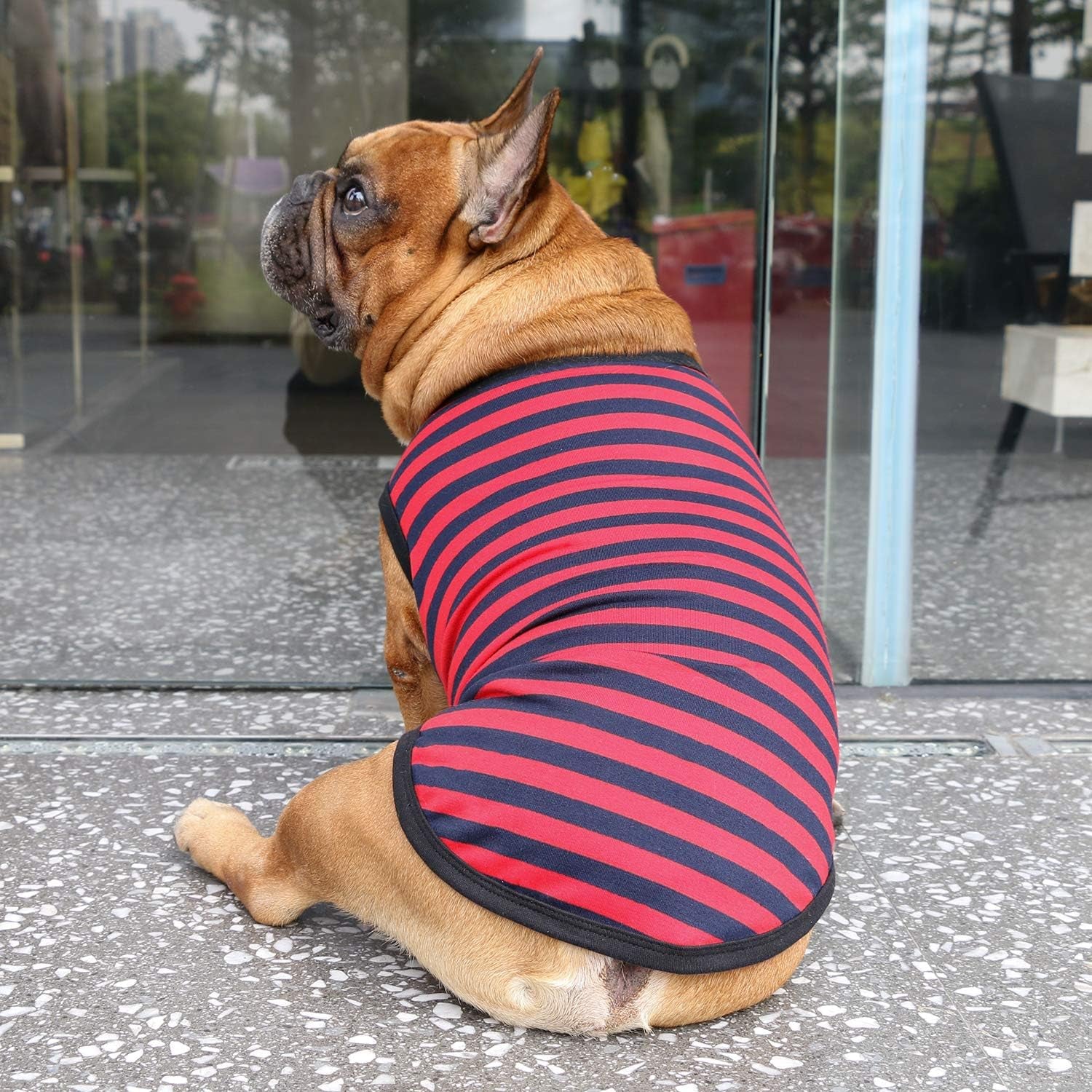 French Bulldog 100% Breathable Cotton Striped T Shirts Halloween Vest Clothes for Small Dogs Tank Tops Puppy Frenchie Pug English Boston Terrier Pitbull Red Blue Stripes - Medium