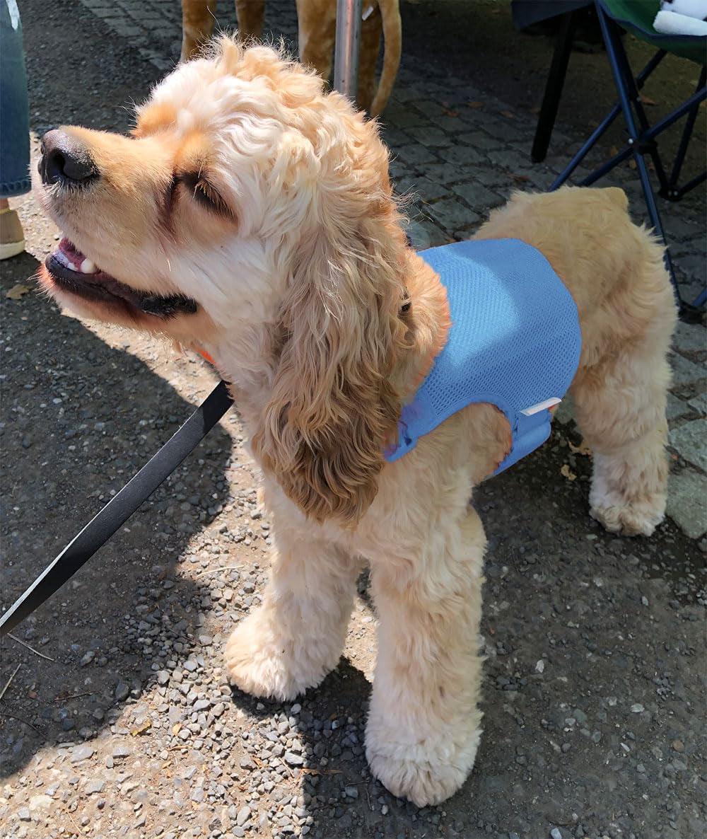 Cooling Vest for Dogs, Dog Vest Harness with Innovative Ice Packs for Optimum Temperature & Longer Cooling Time, Prevent Heat-Stroke, Applicable to All Breeds of Canines (X-Small Size)