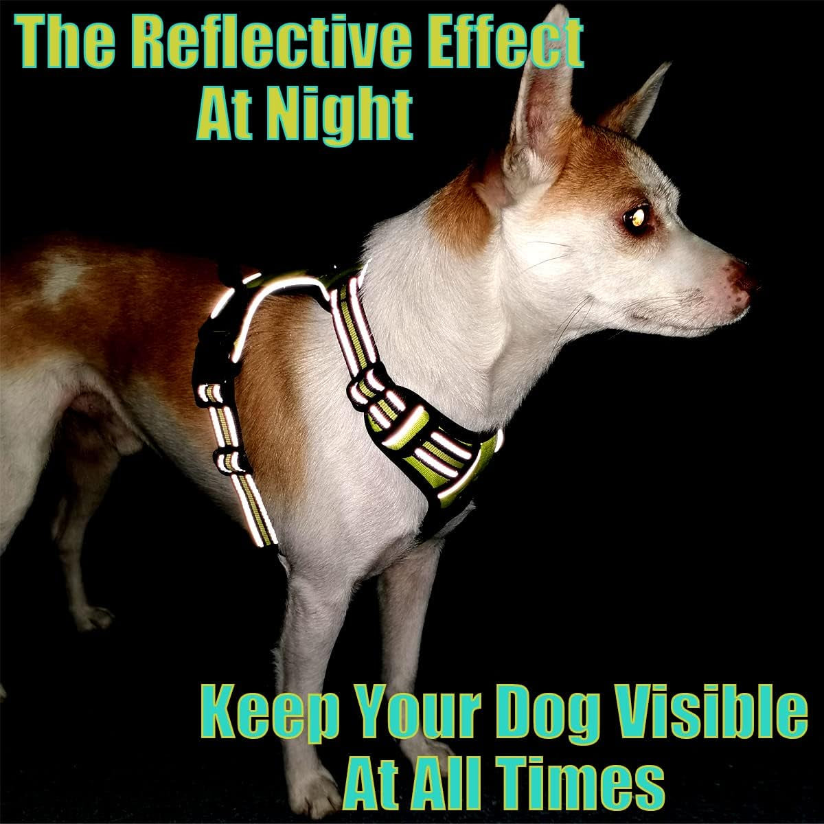 No-Pull Dog Harness Reflective Vest for Easy Walking Small Medium Large Pets (M-Medium, Yellow Green)