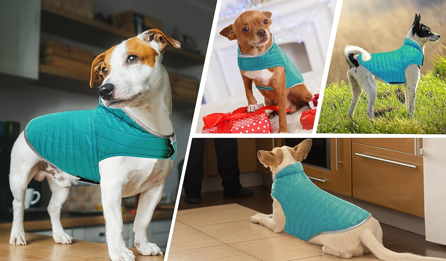 Cold Weather Dog Jacket, Reversible Waterproof Adjustable Reflective Ultra-Lightweight Dog Vest for Small, Medium, Large Dogs, Blue/Yellow Large