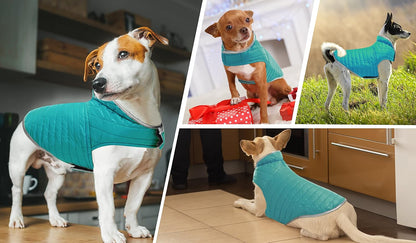 Cold Weather Dog Jacket, Reversible Waterproof Adjustable Reflective Ultra-Lightweight Dog Vest for Small, Medium, Large Dogs, Blue/Yellow Large