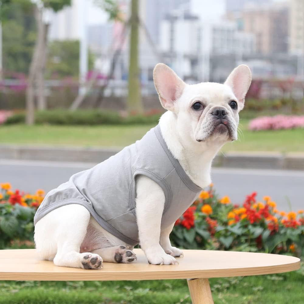 Dog Cat Vest T-Shirt Cotton Clothes Puppy Clothing Coat Costume for Dogs Puppy Chihuahua Yorkshire Terrier ​Pug (Gray, Large)