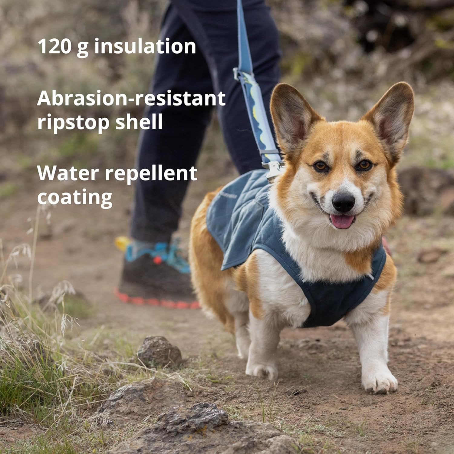 , Stumptown Insulated and Reflective, Cold Weather Winter Jacket for Dogs, Orion Blue, Small