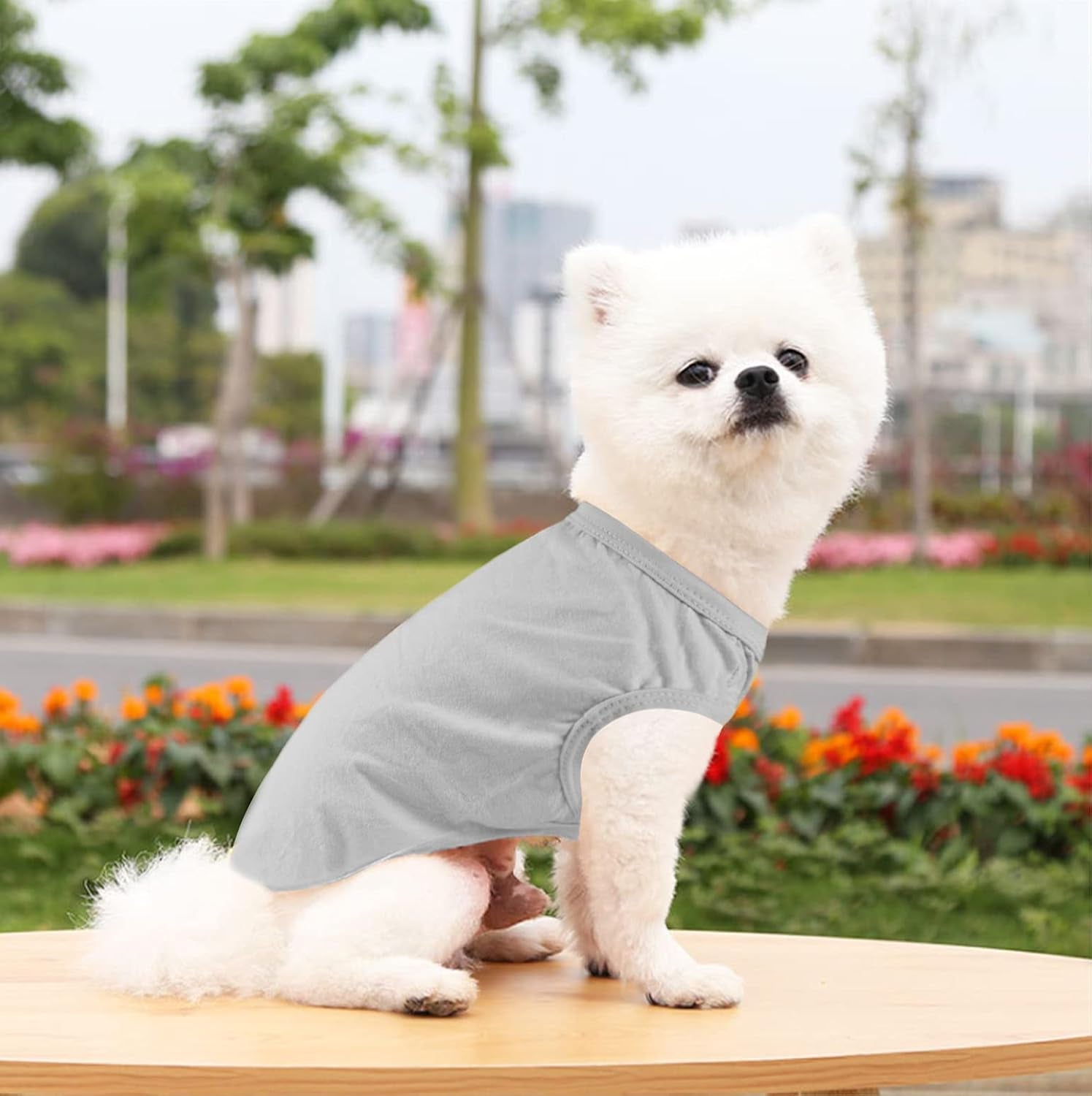 Dog Cat Vest T-Shirt Cotton Clothes Puppy Clothing Coat Costume for Dogs Puppy Chihuahua Yorkshire Terrier ​Pug (Gray, Large)