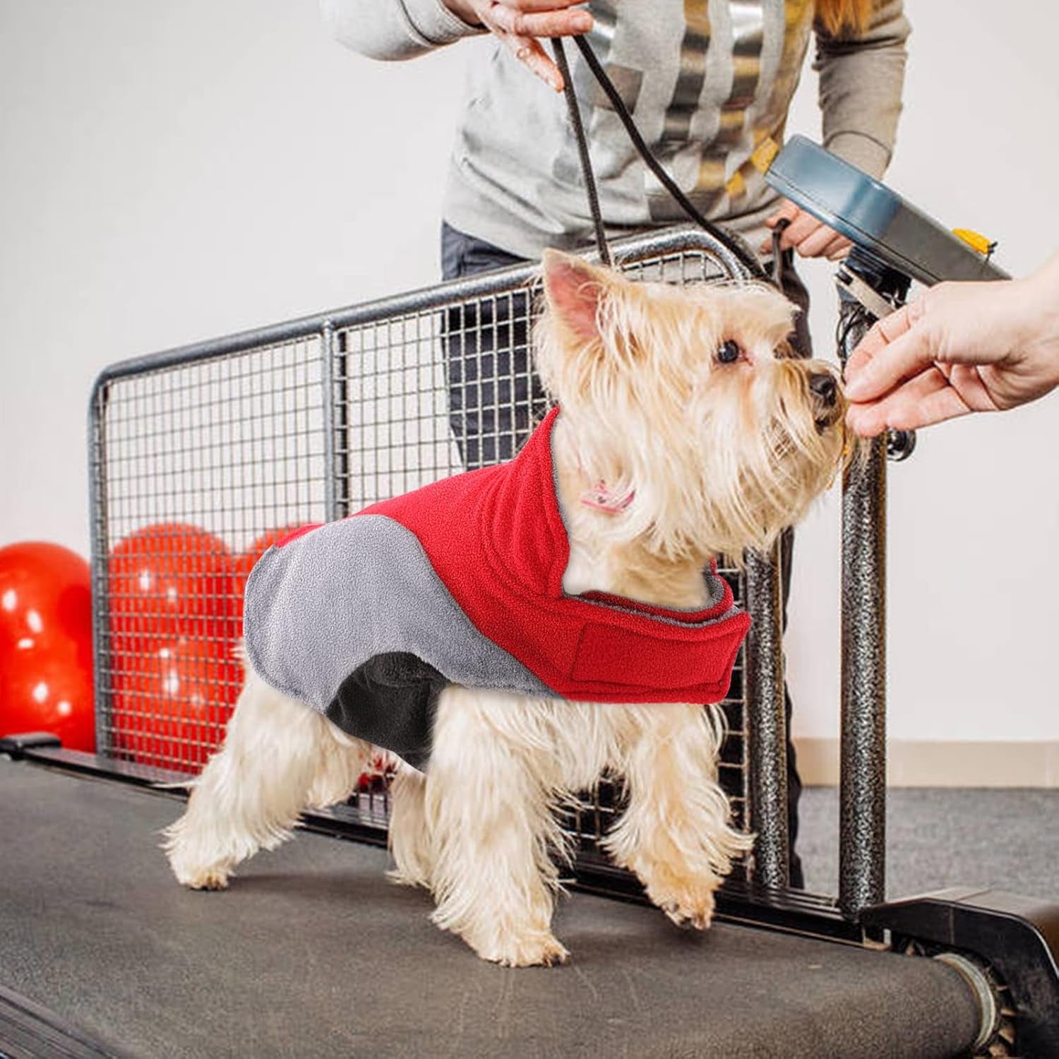 Fleece Dog Jacket, Apparel for Cold Weather, Reversible Soft Warm Dog Coat with Leash Hole, Safety Reflective Strap Adjustable Hook and Loop Puppy Clothes for Small Medium Large Pet (XS-3XL)