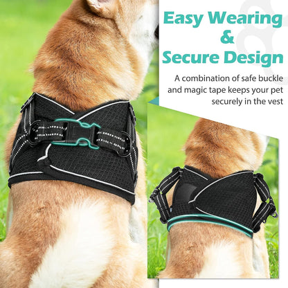 Small Dog Harness, Adjustable Puppy Harness, Soft Mesh Dog Harness for Small Dogs No Choke Dog Vest Harness Reflective Padded No Pull Dog Harness for Puppy Small Medium Dog Walking, Black, M