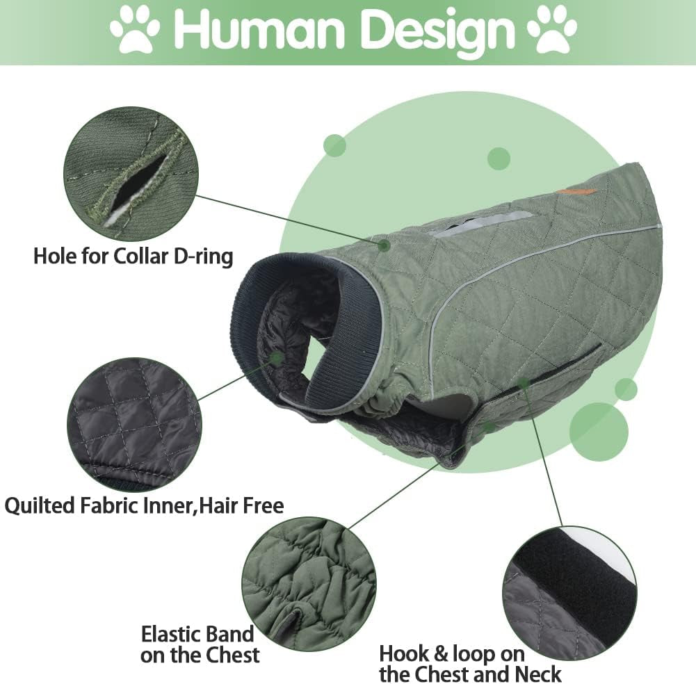 British Style Windproof Warm Dog Coat, Polyester, Green, X-Small(Pack of 1)