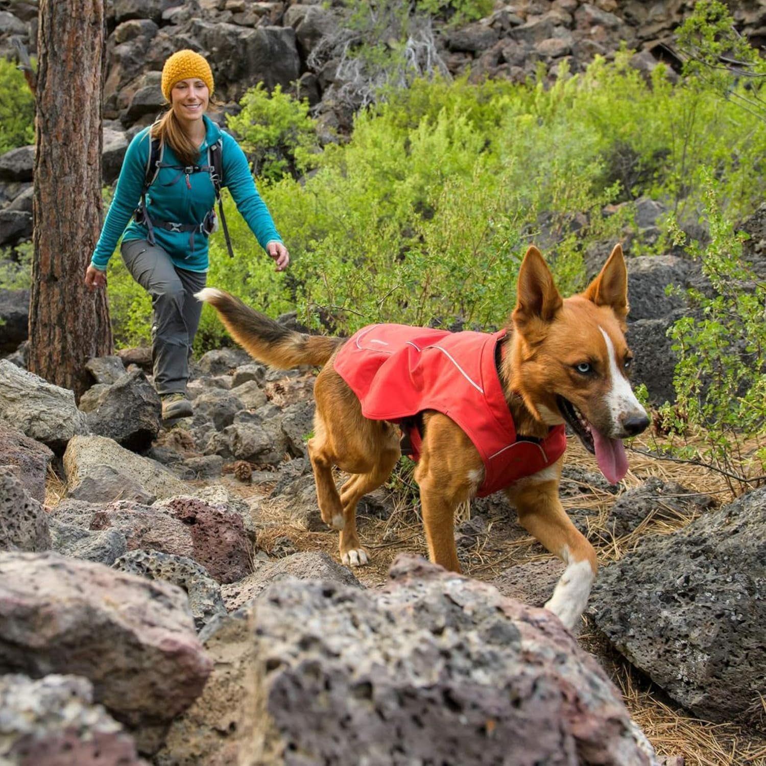 Abrasion-Resistant Dog Jacket with Fleece Lining, Very Large Breeds, Size: X-Large, Baja Blue, Overcoat, 05203-450L1