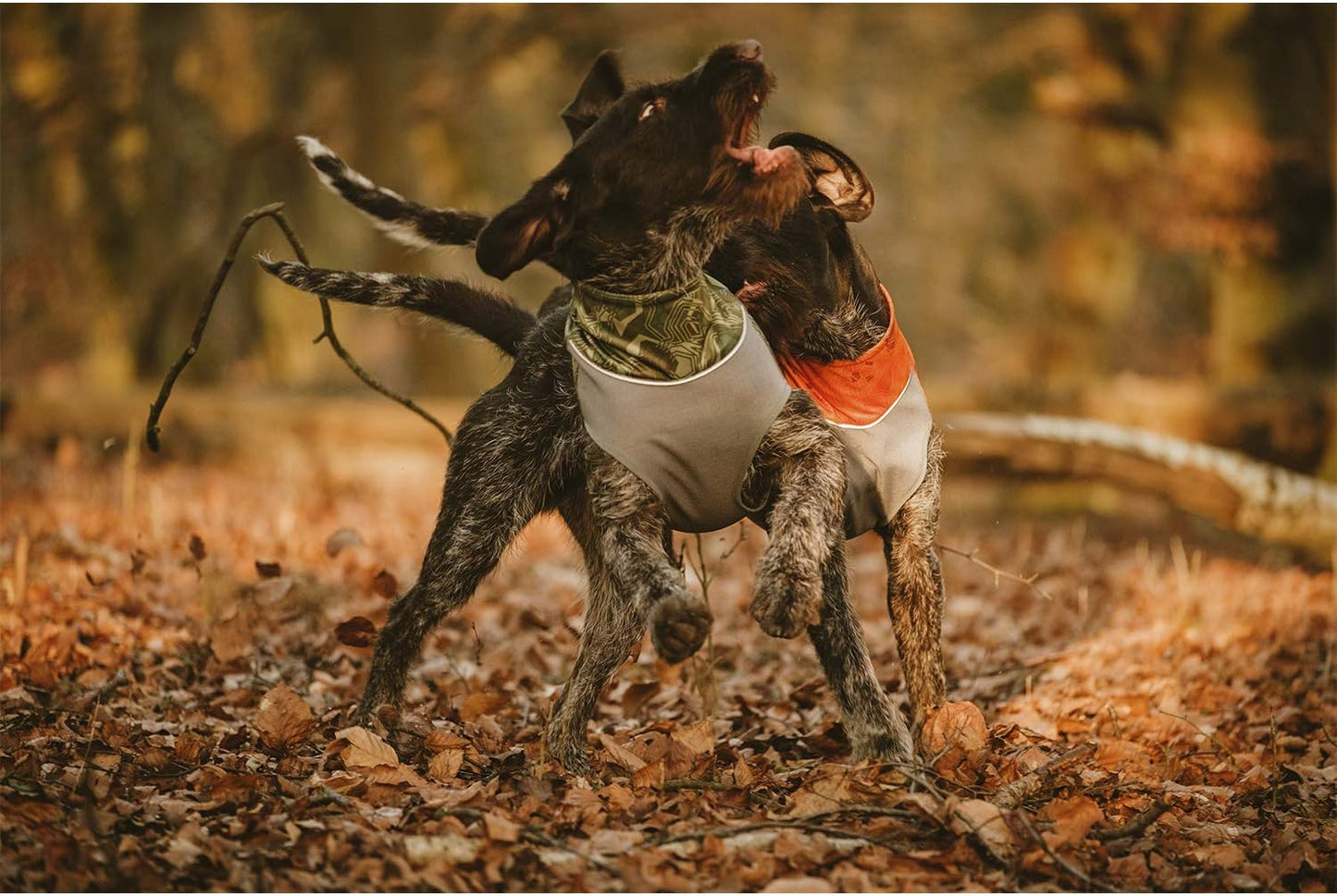 Worker Vest, Hunting/Sportsman Dog Vest, Orange Camo, L