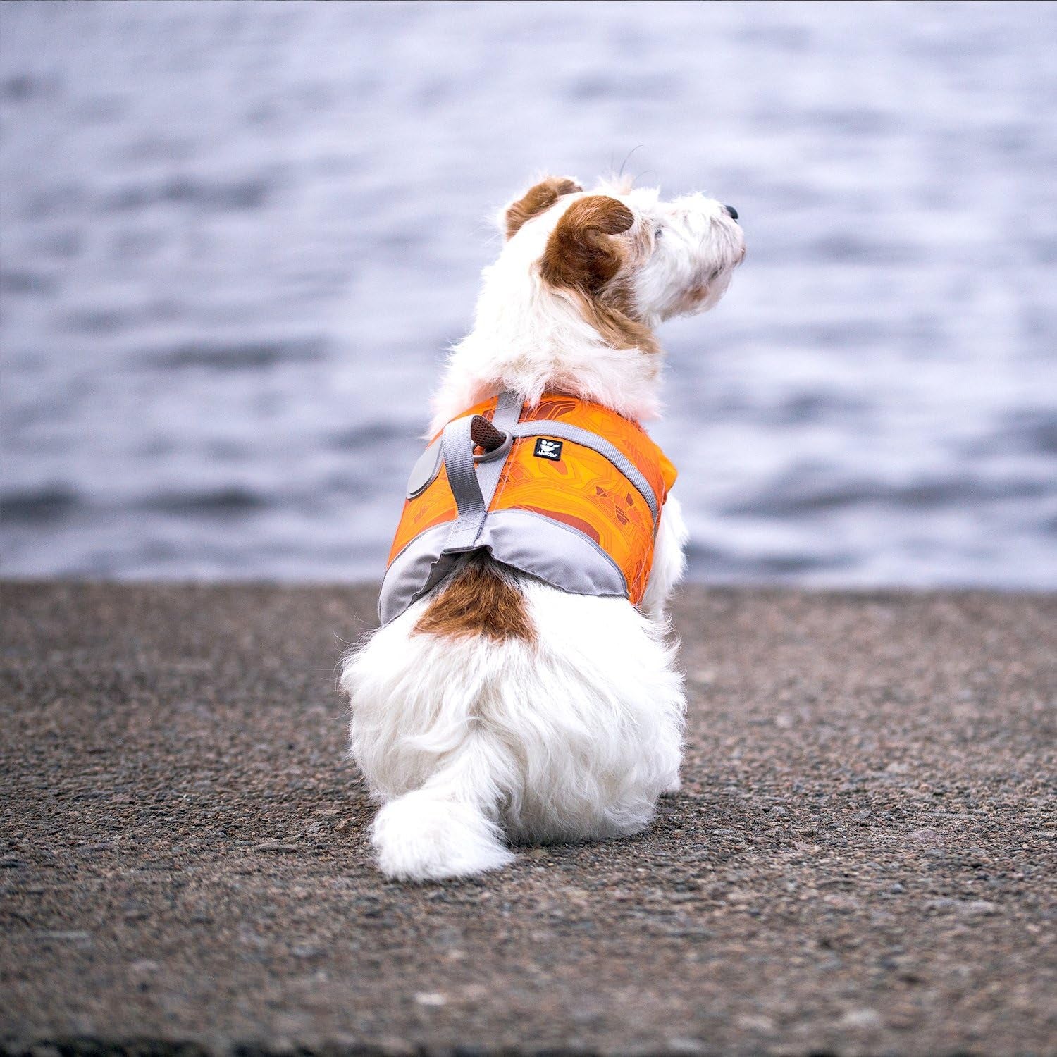 Life Savior, Dog Life Vest/Jacket, Orange, 10-20Lb