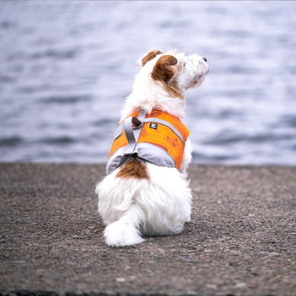 Life Savior, Dog Life Vest/Jacket, Orange, 10-20Lb