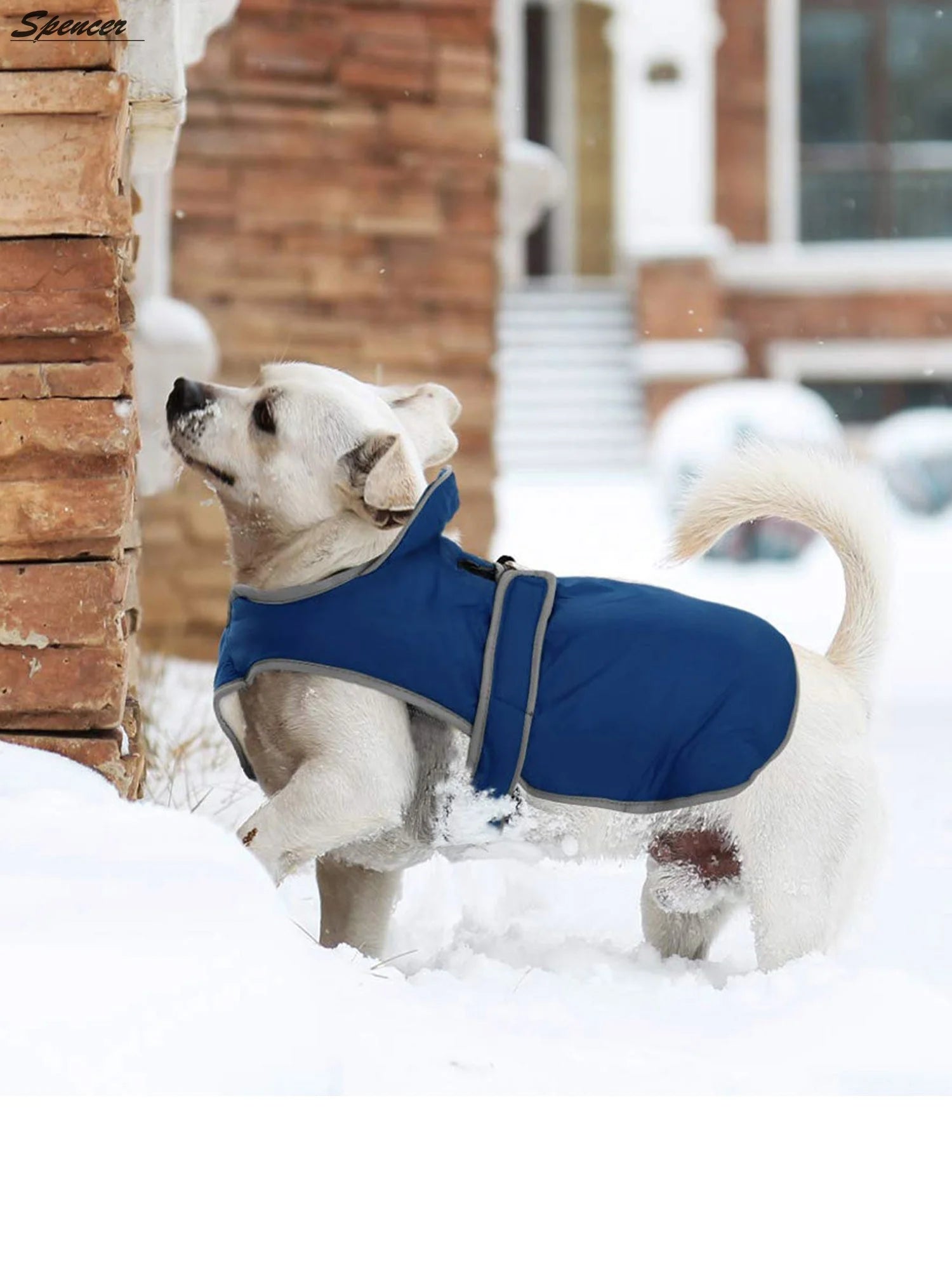 Polyester & Cotton Dog Coat & Jacket, Navy Blue, XL