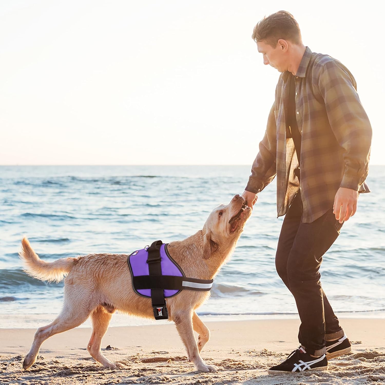 Dog Harness, Reflective No-Pull Adjustable Vest with Handle, Breathable No-Choke Harness for Small, Medium or Large Dogs Room for Patches Girth 18 to 24 in Purple