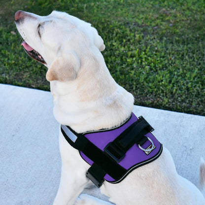 Dog Harness, Reflective No-Pull Adjustable Vest with Handle, Breathable No-Choke Harness for Small, Medium or Large Dogs Room for Patches Girth 18 to 24 in Purple