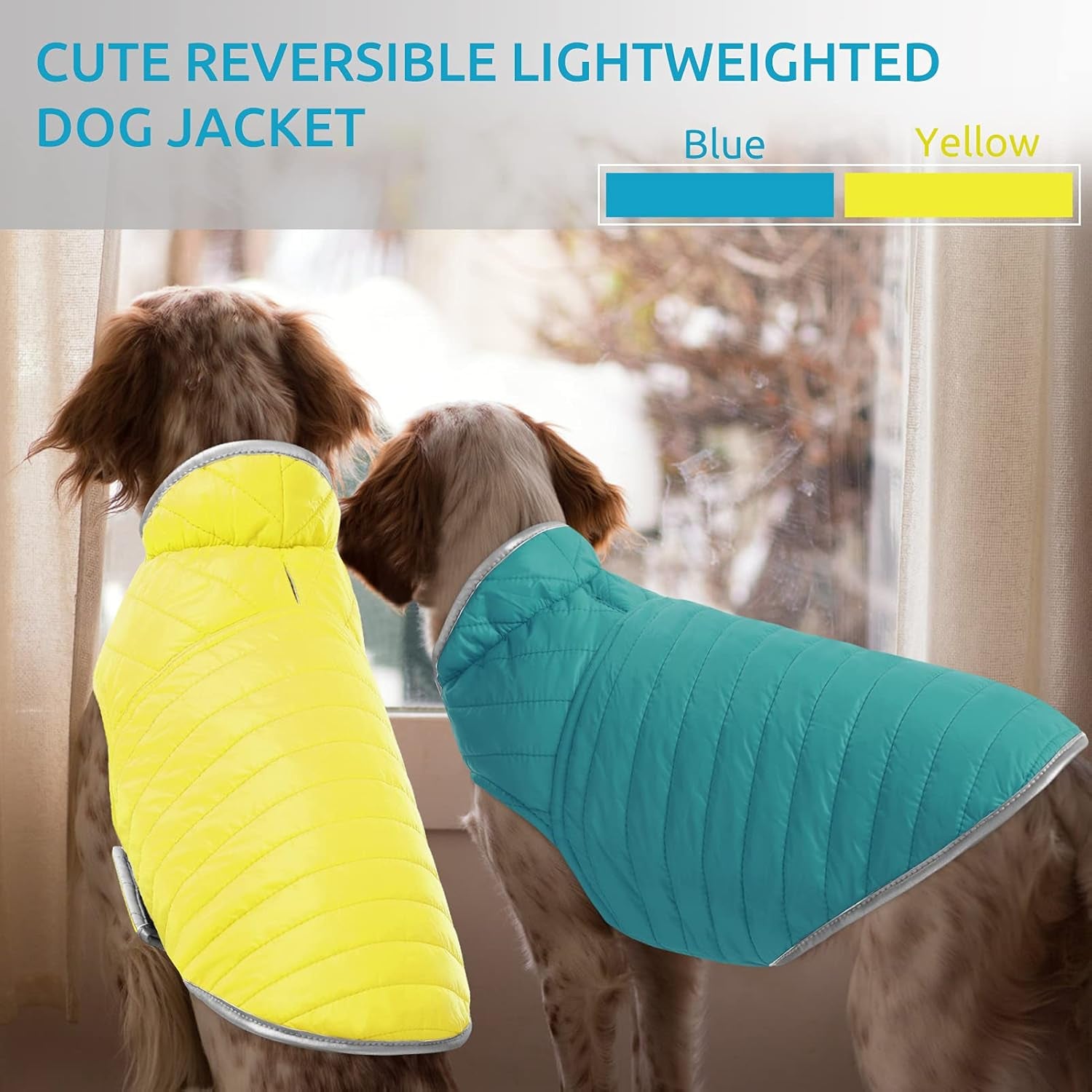 Cold Weather Dog Jacket, Reversible Waterproof Adjustable Reflective Ultra-Lightweight Dog Vest for Small, Medium, Large Dogs, Blue/Yellow Large