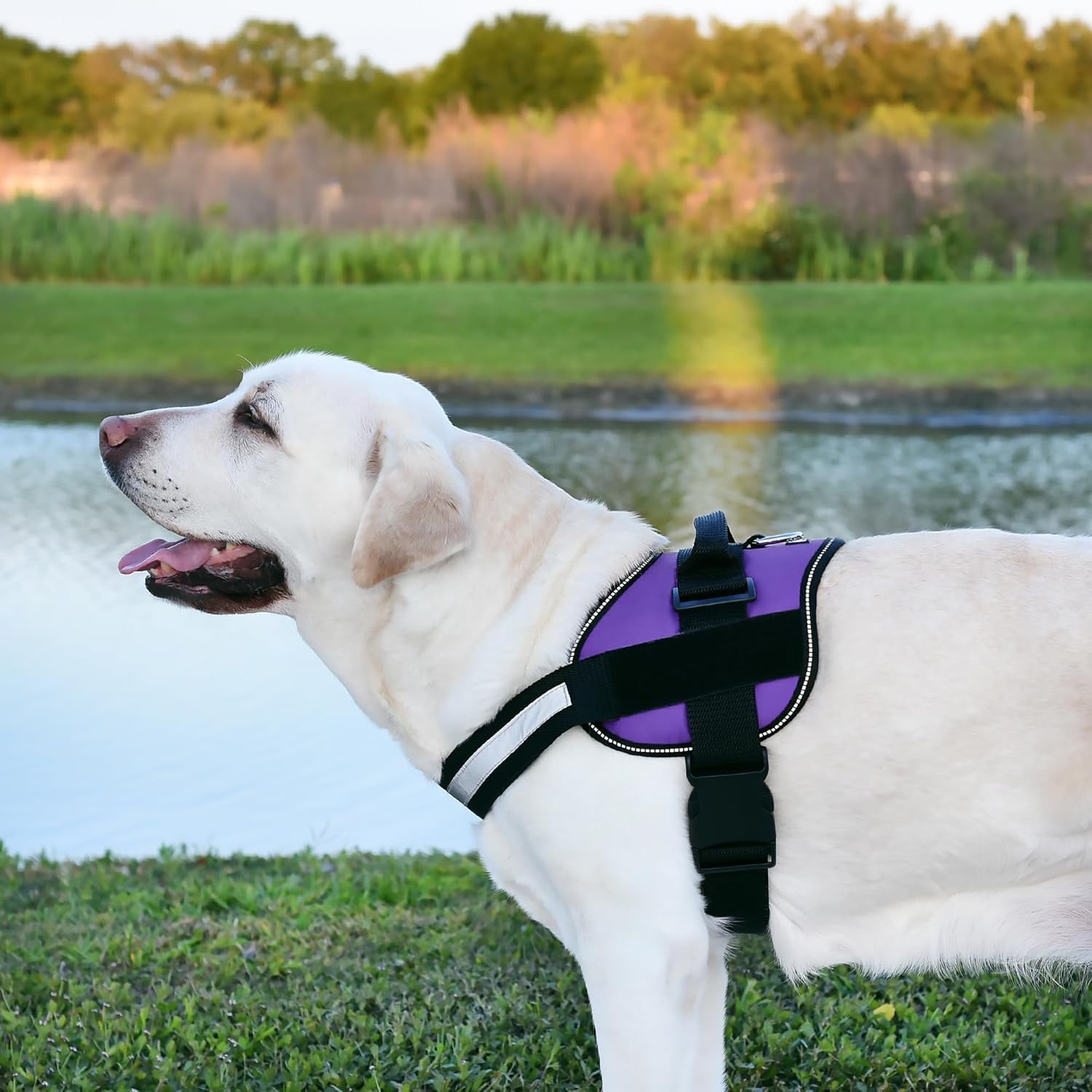 Dog Harness, Reflective No-Pull Adjustable Vest with Handle, Breathable No-Choke Harness for Small, Medium or Large Dogs Room for Patches Girth 18 to 24 in Purple