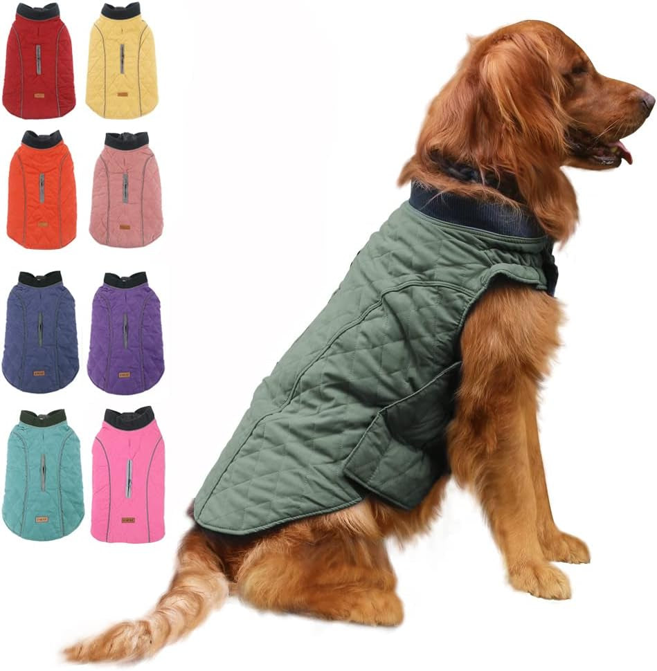 British Style Windproof Warm Dog Coat, Polyester, Green, X-Small(Pack of 1)