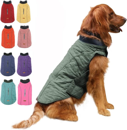 British Style Windproof Warm Dog Coat, Polyester, Green, X-Small(Pack of 1)