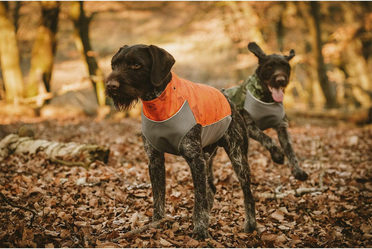 Worker Vest, Hunting/Sportsman Dog Vest, Orange Camo, L