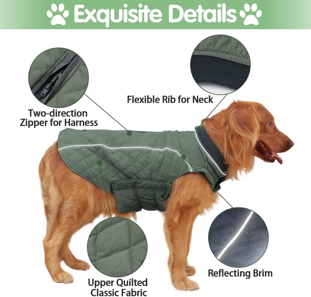 British Style Windproof Warm Dog Coat, Polyester, Green, X-Small(Pack of 1)