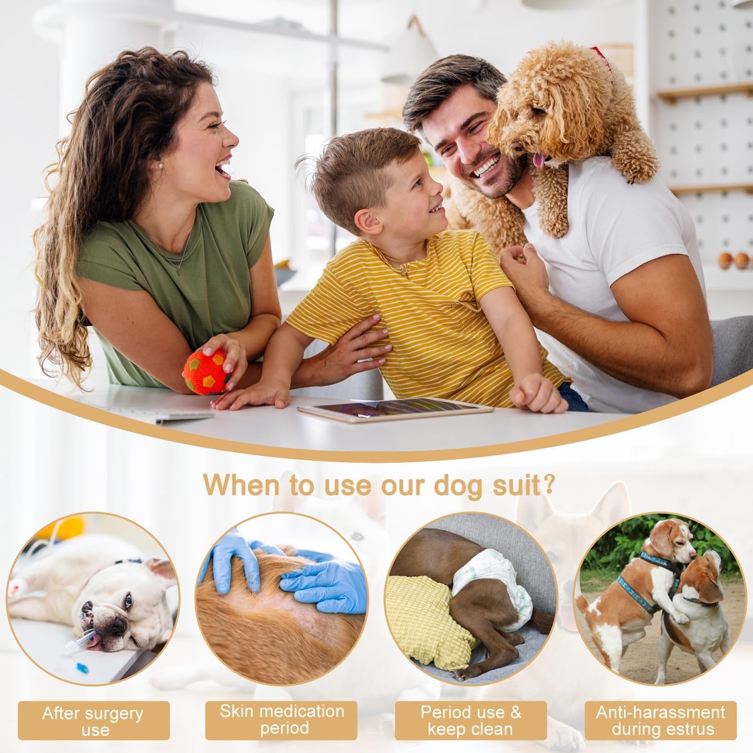 Dog Diapers Sanitary Panties Physiological Period Shirts Surgical Recovery Suits for Male and Female Dogs, Blue/Small