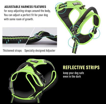 No Pull Dog Harness | Heavy-Duty Soft Padded Dog Vest | Adjustable Dog Vest Harness Harness for Dogs with 2 Leash Clips and Reflective Strips (Medium, Green)