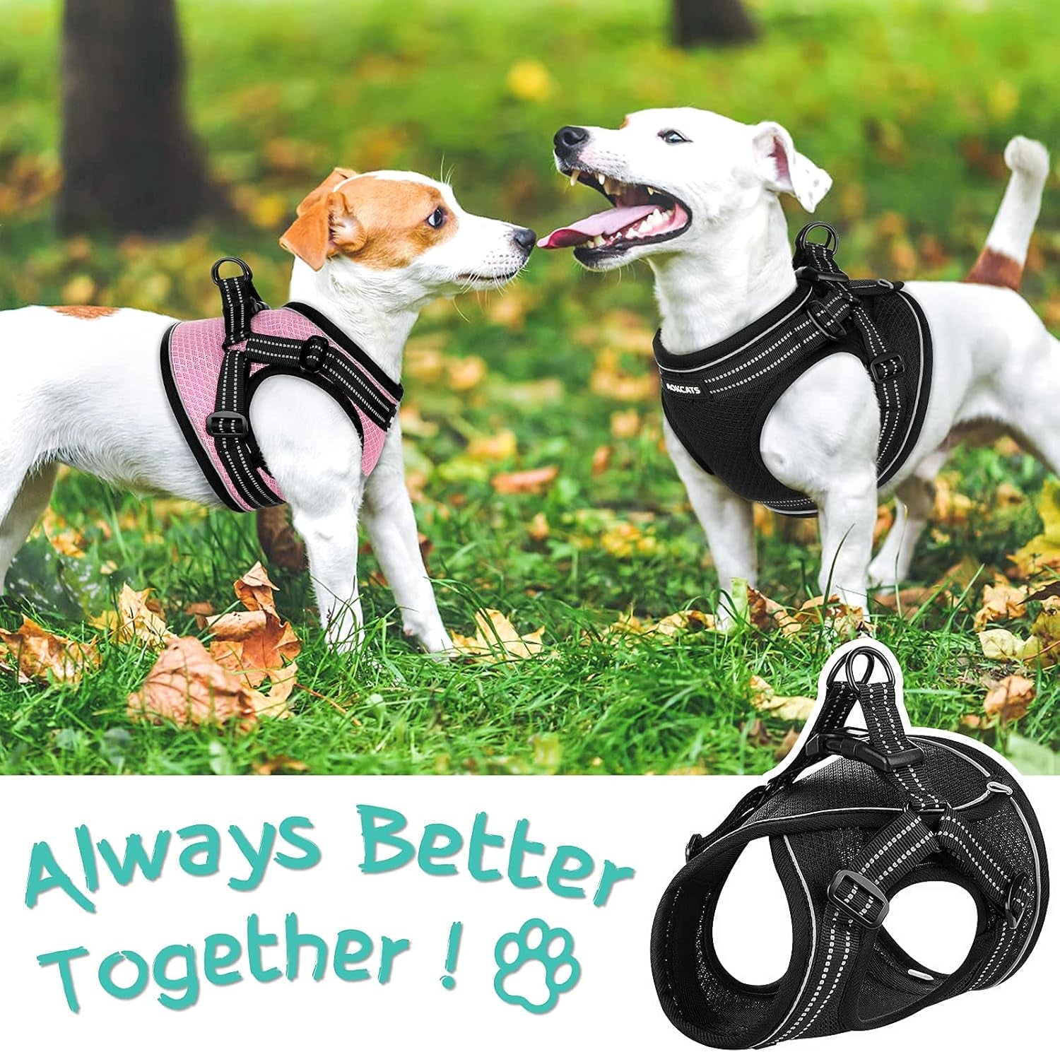 Small Dog Harness, Adjustable Puppy Harness, Soft Mesh Dog Harness for Small Dogs No Choke Dog Vest Harness Reflective Padded No Pull Dog Harness for Puppy Small Medium Dog Walking, Black, M