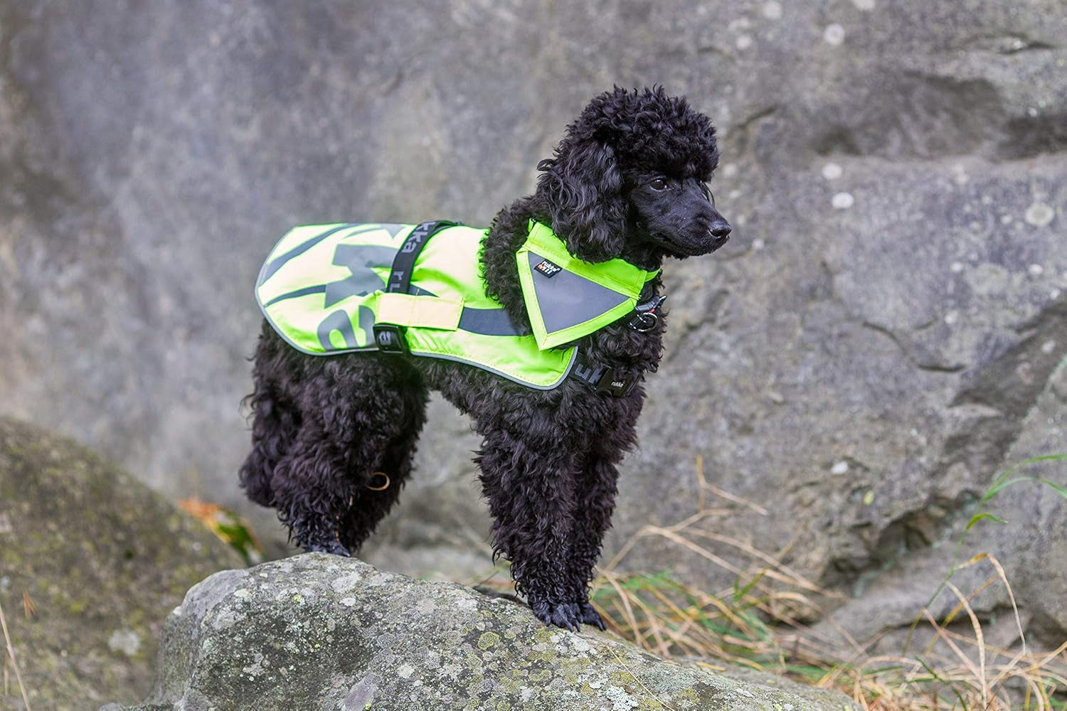Dog Safety Vest Flap - Adjustable Lightweight Hi-Vis Waterproof Pet Vest with Reflective Details for All Weather Conditions for Small, Medium and Large Breeds (Medium, Emerald)