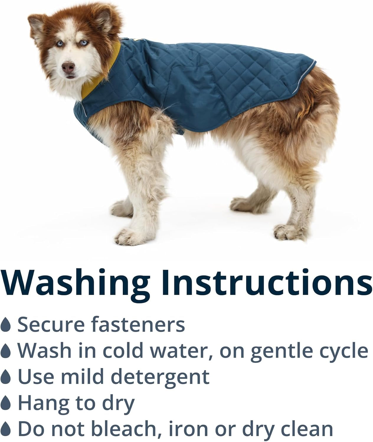 , Stumptown Insulated and Reflective, Cold Weather Winter Jacket for Dogs, Orion Blue, Small