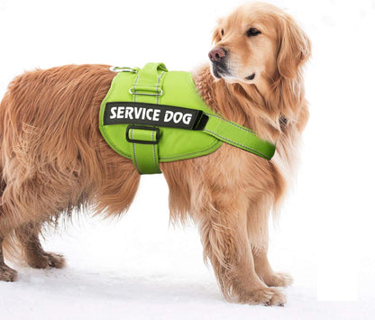 Tactical Dog Vest Harness, Service Dog Vest Harness with Nylon Handle, Adjustable Military No Pull Dog Vest with Hook & Loop Panel for ID Patch, Easy Control Tactical Vest for Medium Large Dogs