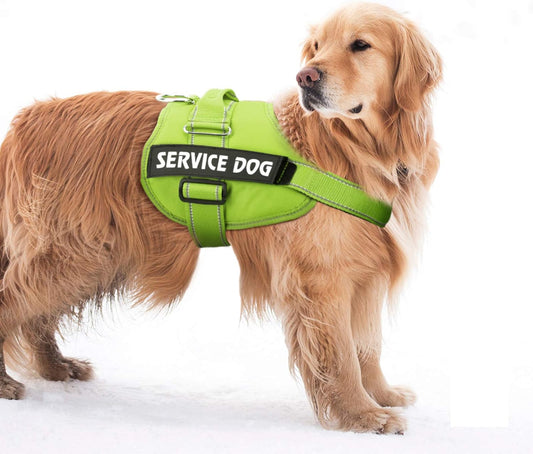Tactical Dog Vest Harness, Service Dog Vest Harness with Nylon Handle, Adjustable Military No Pull Dog Vest with Hook & Loop Panel for ID Patch, Easy Control Tactical Vest for Medium Large Dogs