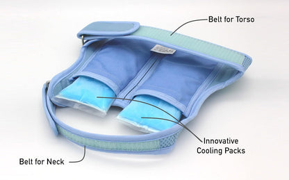 Cooling Vest for Dogs, Dog Vest Harness with Innovative Ice Packs for Optimum Temperature & Longer Cooling Time, Prevent Heat-Stroke, Applicable to All Breeds of Canines (X-Small Size)