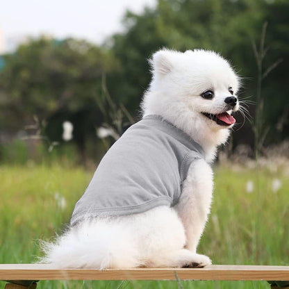 Dog Cat Vest T-Shirt Cotton Clothes Puppy Clothing Coat Costume for Dogs Puppy Chihuahua Yorkshire Terrier ​Pug (Gray, Large)
