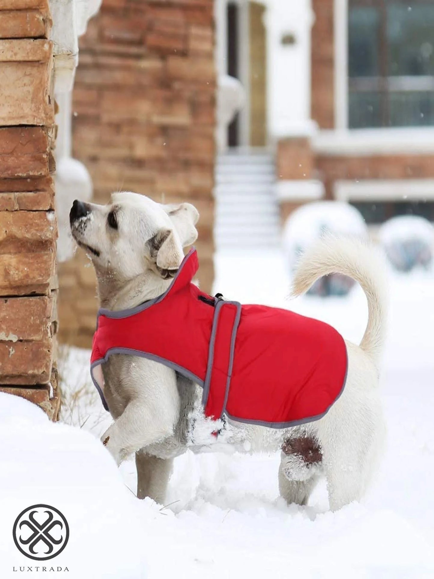 Reflective Waterproof Windproof Dog Coat Cold Weather Warm Dog Jacket Reversible Stormguard Winter Dog Vest for Small Medium Large Dogs