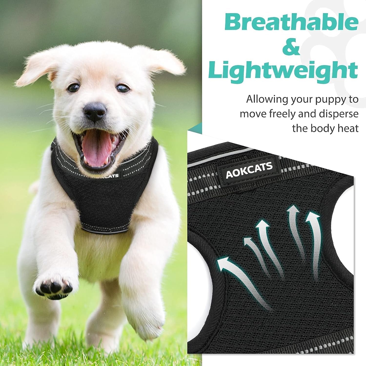 Small Dog Harness, Adjustable Puppy Harness, Soft Mesh Dog Harness for Small Dogs No Choke Dog Vest Harness Reflective Padded No Pull Dog Harness for Puppy Small Medium Dog Walking, Black, M