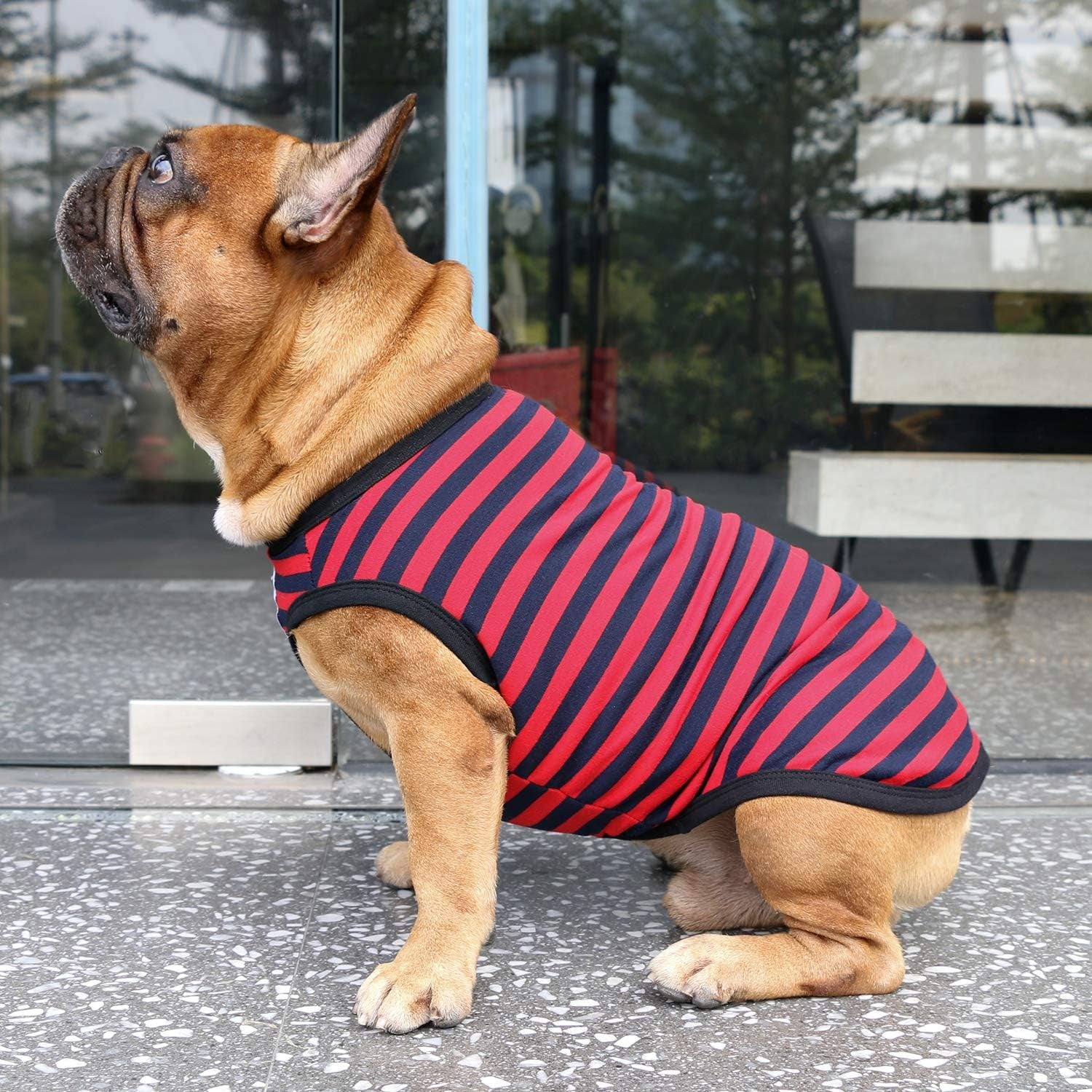 French Bulldog 100% Breathable Cotton Striped T Shirts Halloween Vest Clothes for Small Dogs Tank Tops Puppy Frenchie Pug English Boston Terrier Pitbull Red Blue Stripes - Medium