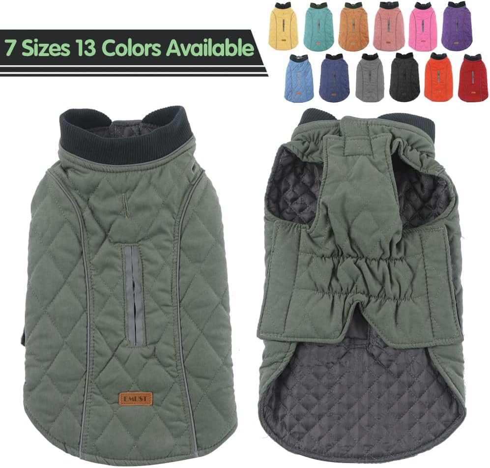 British Style Windproof Warm Dog Coat, Polyester, Green, X-Small(Pack of 1)