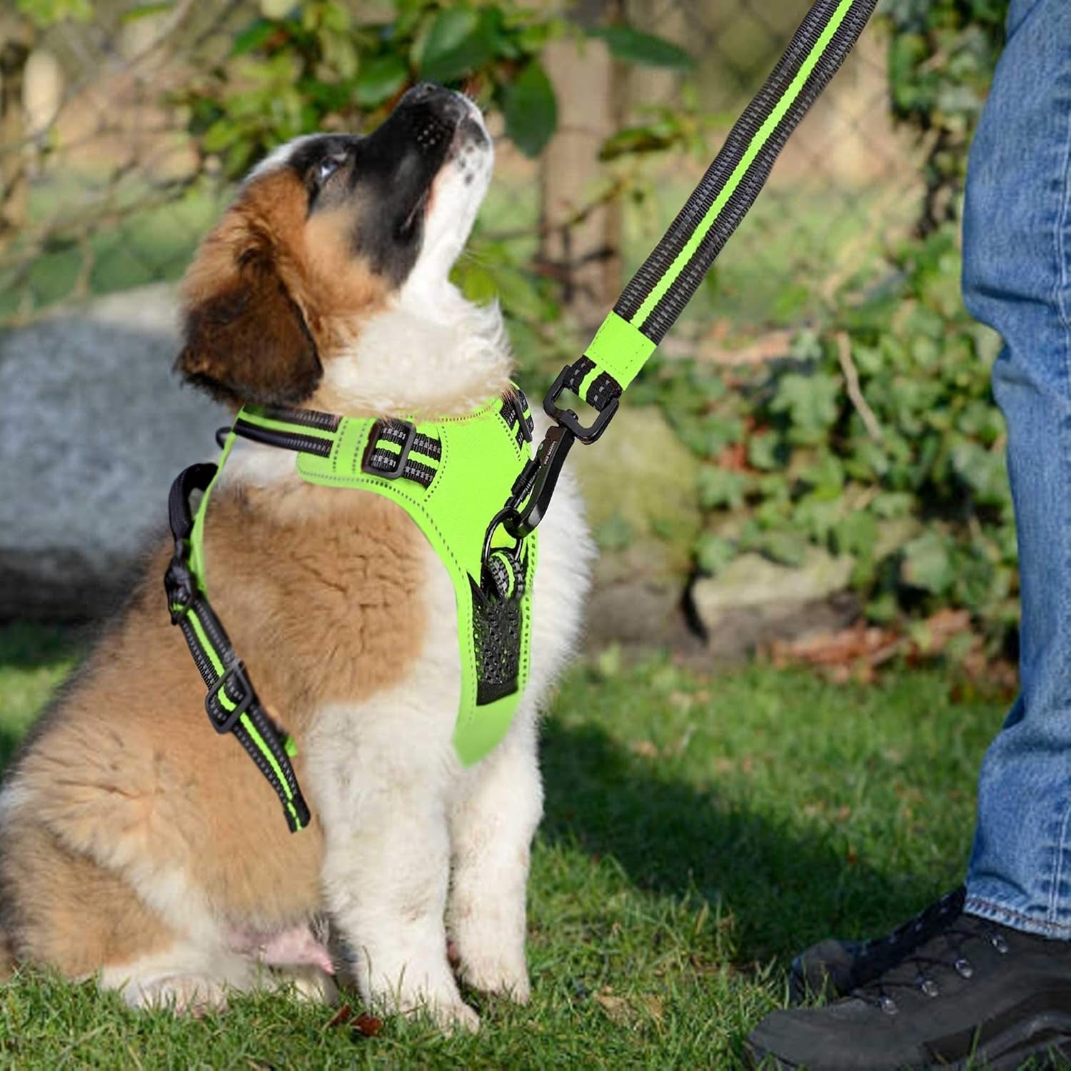 No Pull Dog Harness | Heavy-Duty Soft Padded Dog Vest | Adjustable Dog Vest Harness Harness for Dogs with 2 Leash Clips and Reflective Strips (Medium, Green)